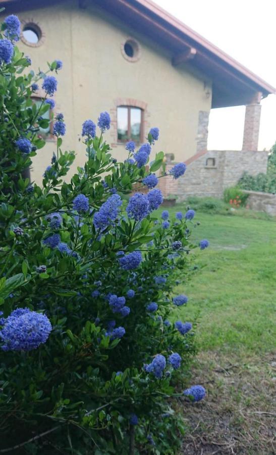 Millesimo B&B La Casa Dei Cuori מראה חיצוני תמונה